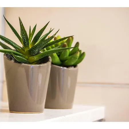 Daire Idro Directly At The