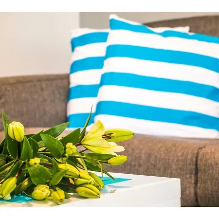 Idro Directly At The דירה ספליט