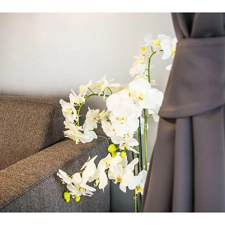 Idro Directly At The Split